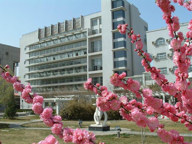 性感烧逼被抄